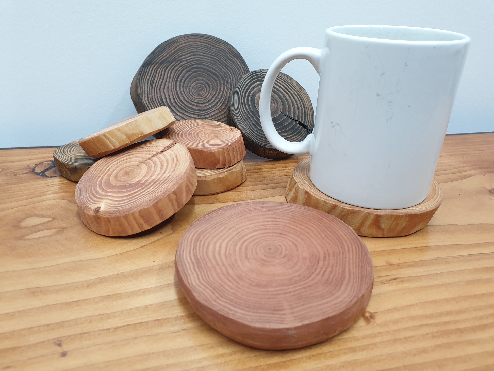 A selection of wooden log ring coasters of various sizes and with natural wood, red cedar or dark oak stains.