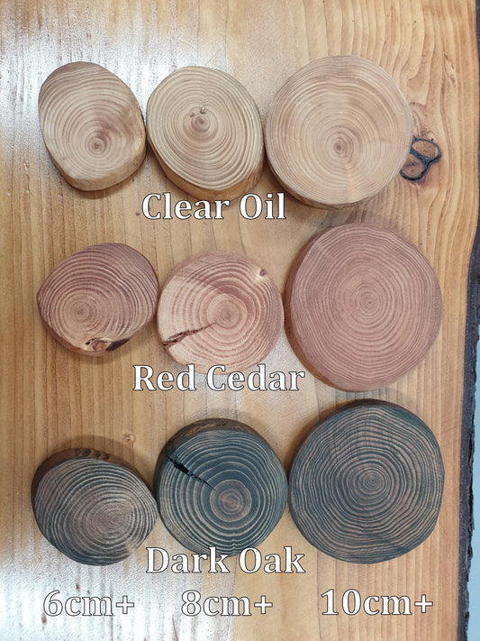 An overhead view of the log ring coasters we sell, with label to make it easy to compare size and hue