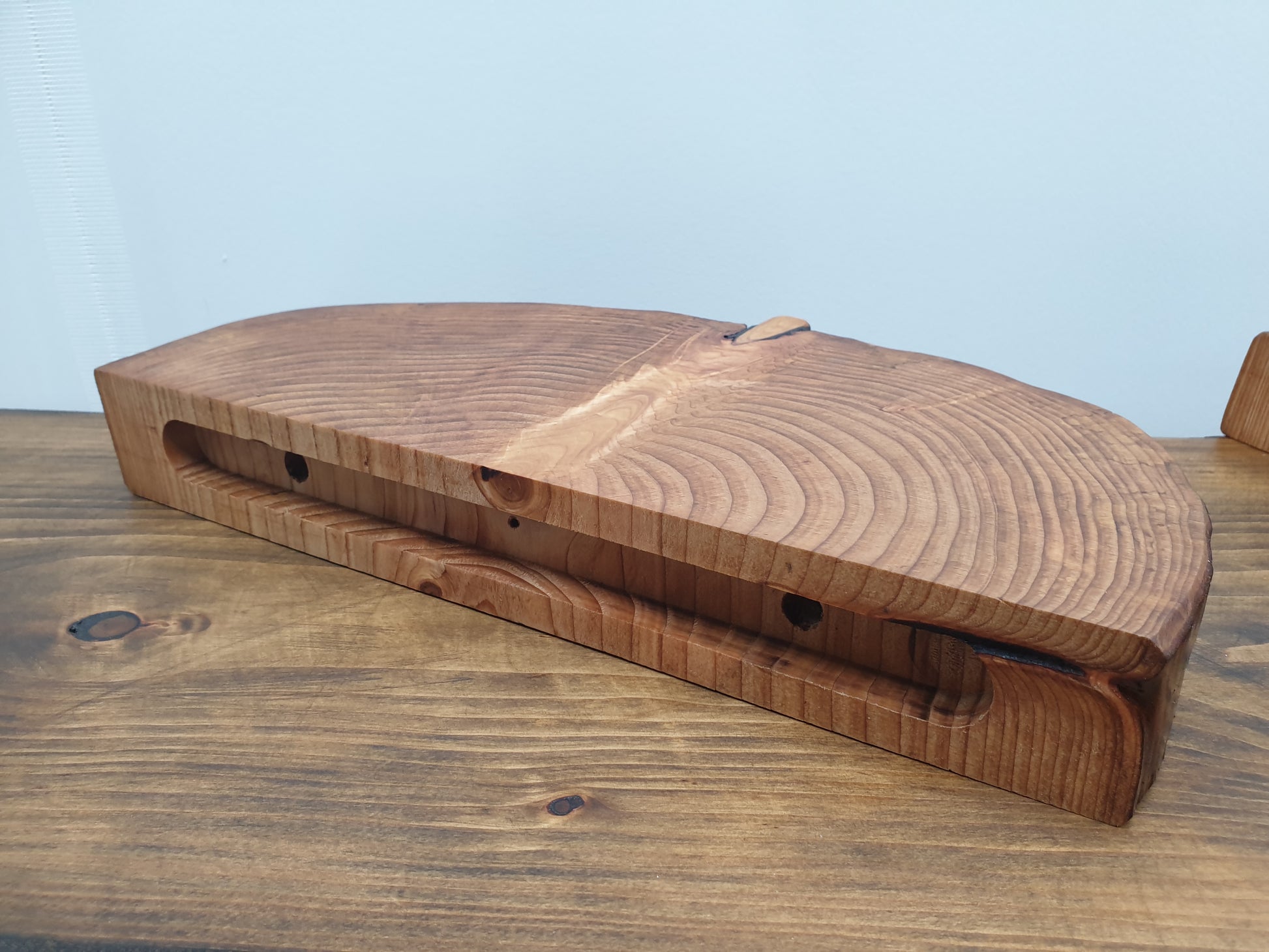 a rear view of a half log ring floating shelf showing the mounting holes and bracket cavity