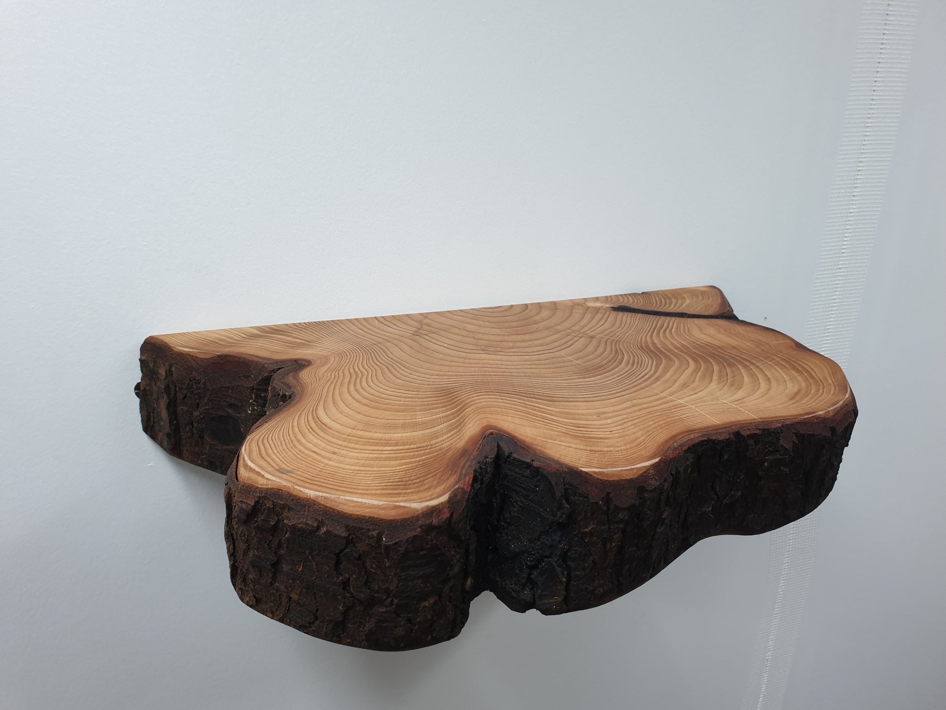 a half log ring floating shelf with lots of bark