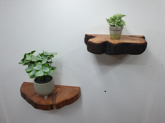 a pair of half log ring shelves mounted to a white wall with potted plants placed atop them