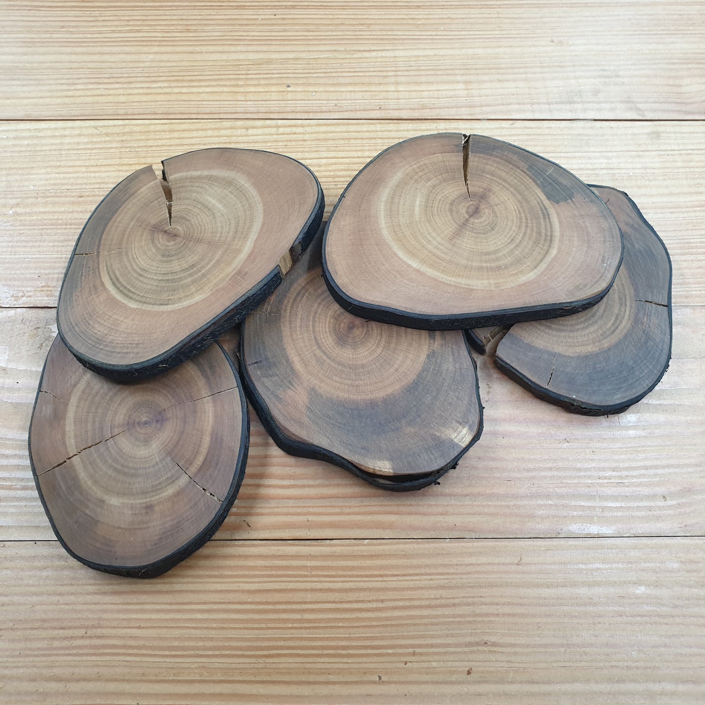 Wild Cherry Log Slices/Wooden Coasters