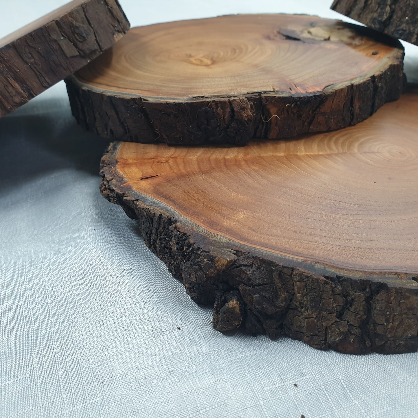 Live Edge Elm Place-mat/Table Centrepiece/Plant Stand