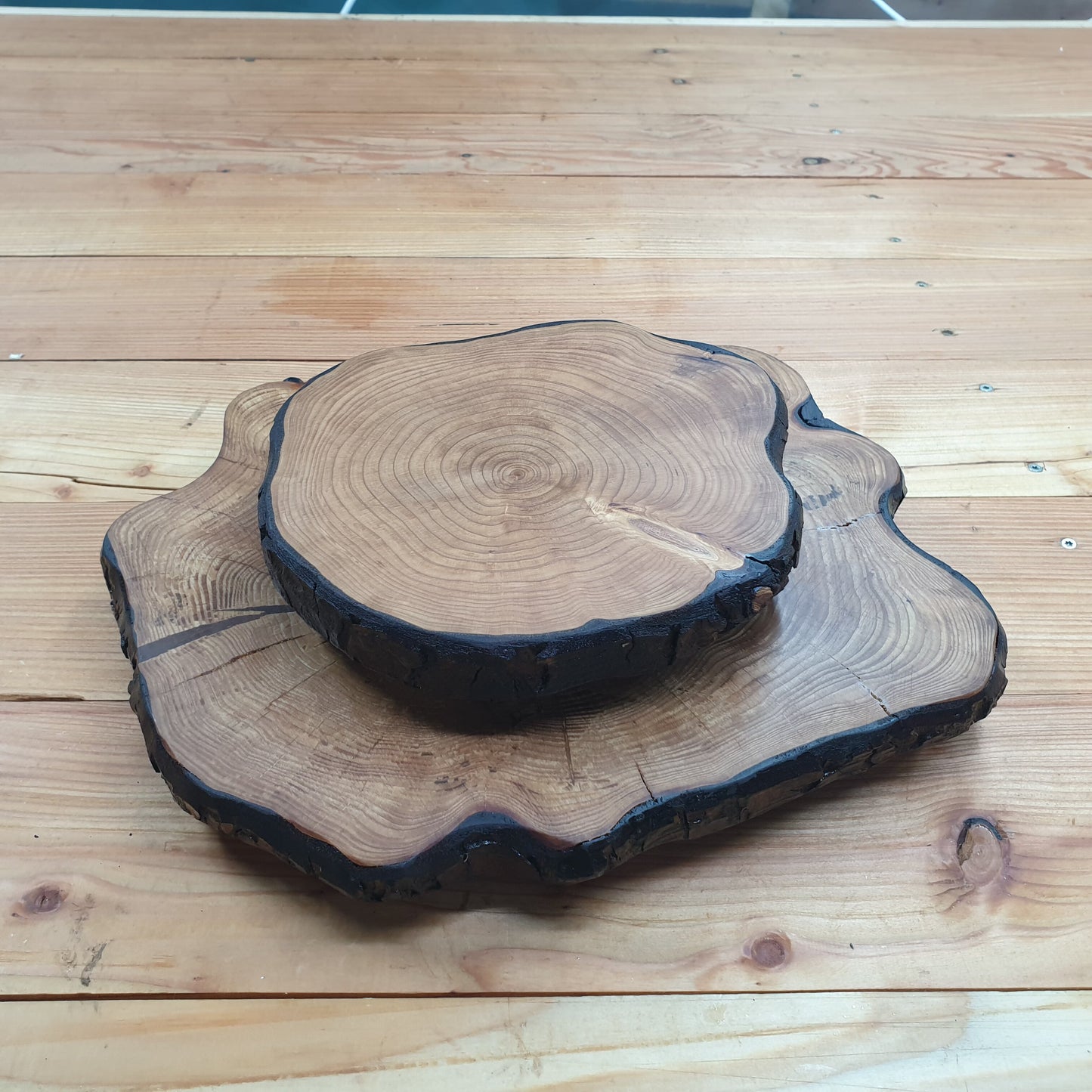 Unique Wooden Log Ring Table Centrepieces With Raised Feet