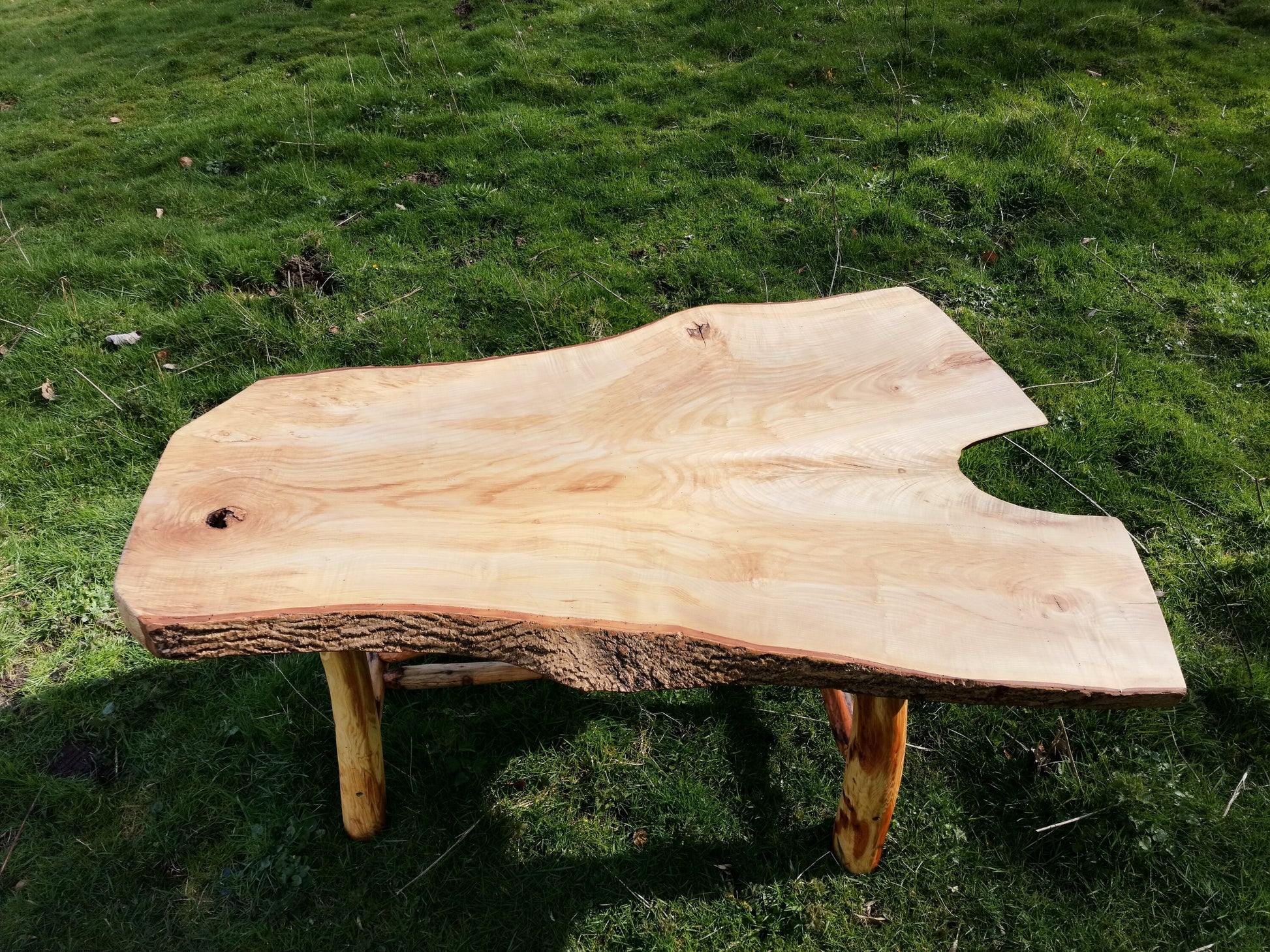 above view of a forked table in field