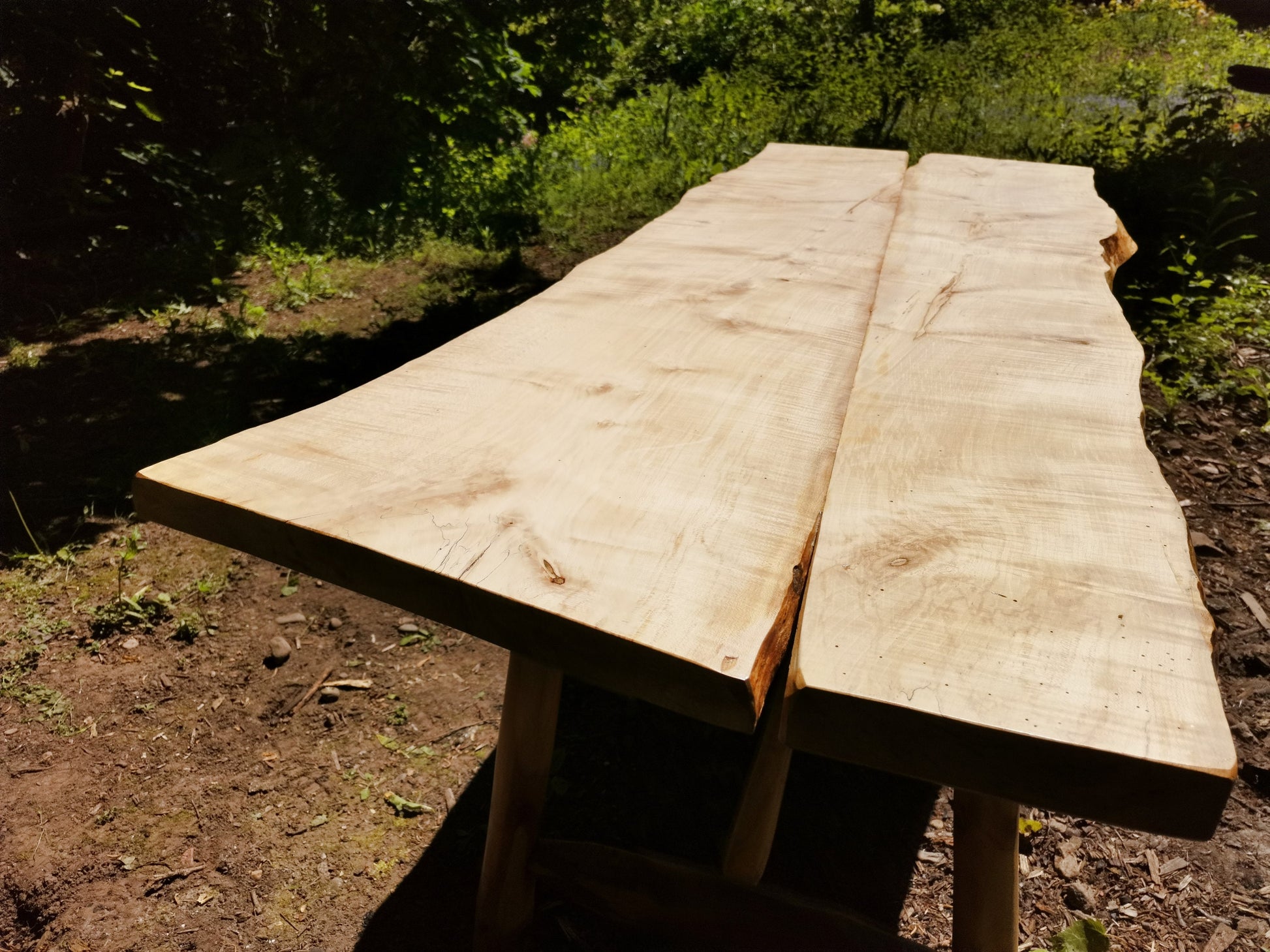 a sycamore table in the sun showing the grain on top