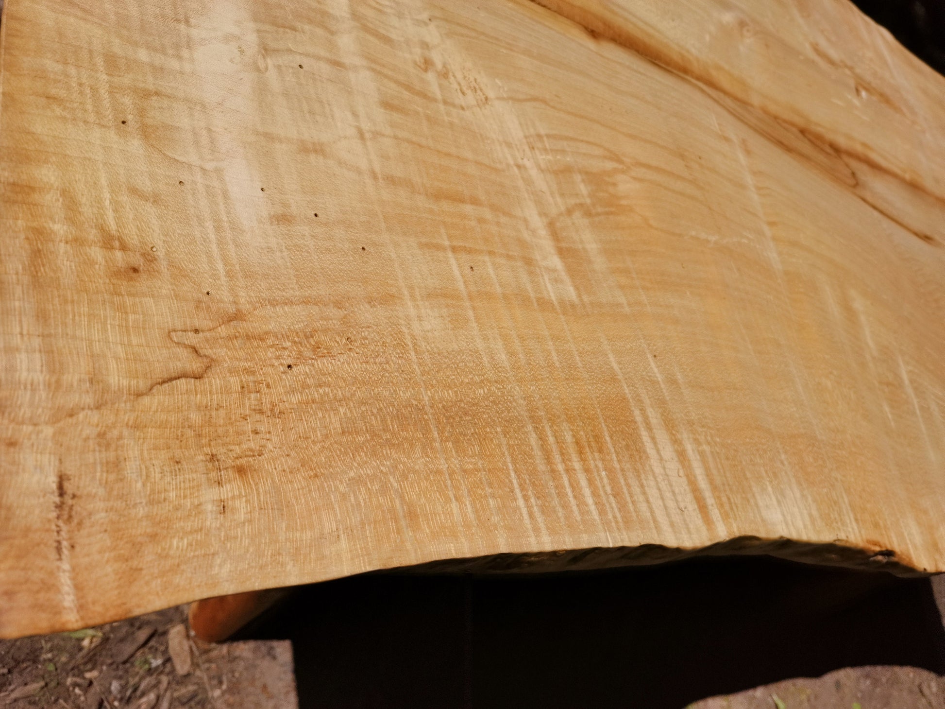 ripple grain in the sycamore table top