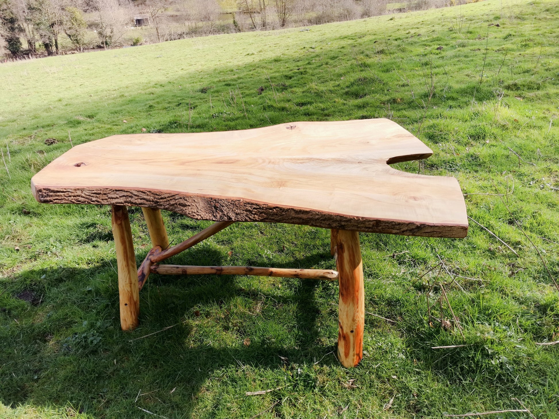 forked table in a field