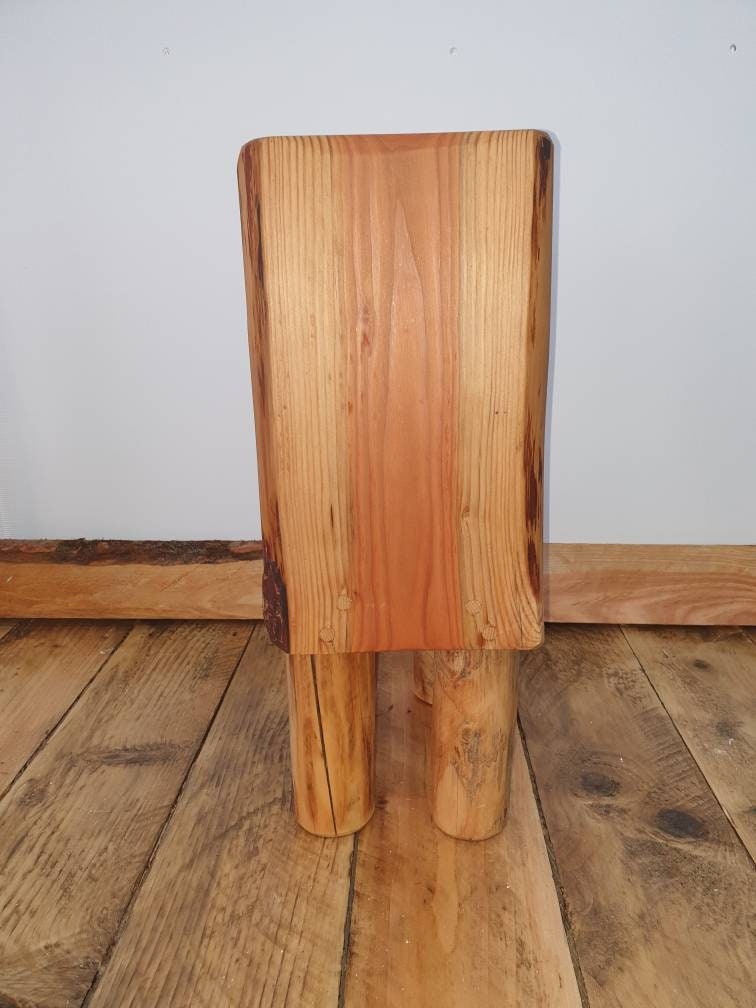 a back view of the kids throne