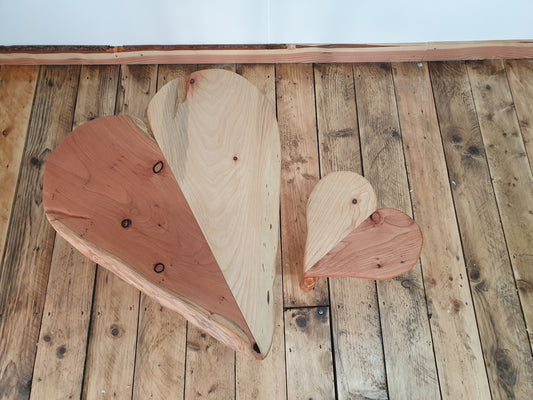A photo from the top of the heart shaped table and stool. Showing off the striking colour difference and other characteristics like the grain and knots present in the wood. The table has live bark edge along to its point but the bark has been removed.