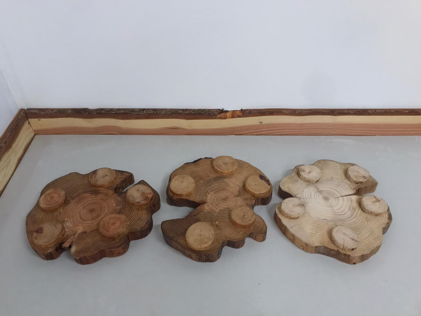 These three table centerpieces aren't dead; they're just sleeping. Yes, they sleep upside down. No, that isn't unusual.
At least you can get a good look at their feet.