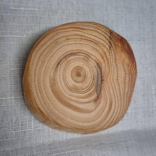 A closeup of the grain in a log ring coaster