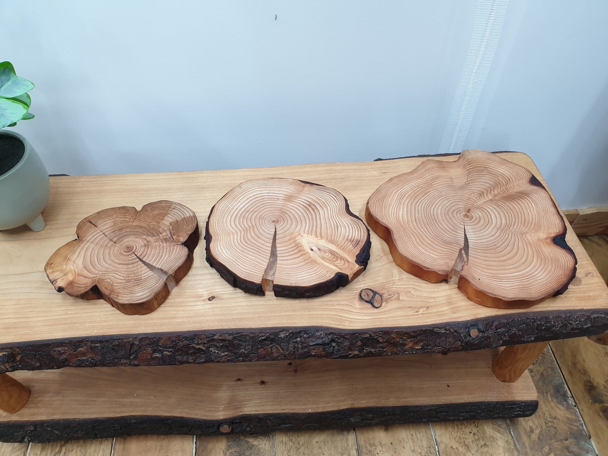 Three place mats on a coffee table