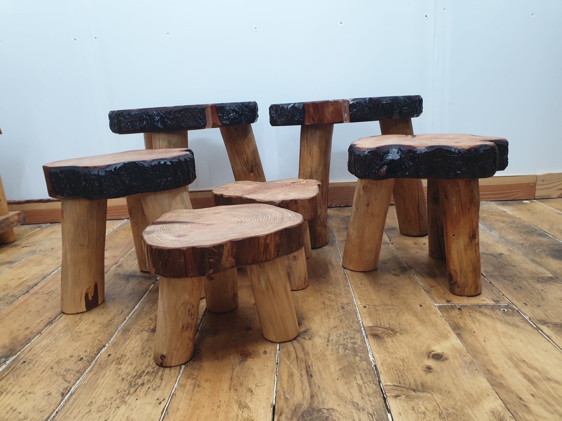 6 stools of various sizes and shapes with great grain definition. They all have 3 round, peeled, barkless legs. Some have clear resin filled cracks on the tops. 2 have all the dark brown  bark intact, 2 partially intact and 2 with none at all.