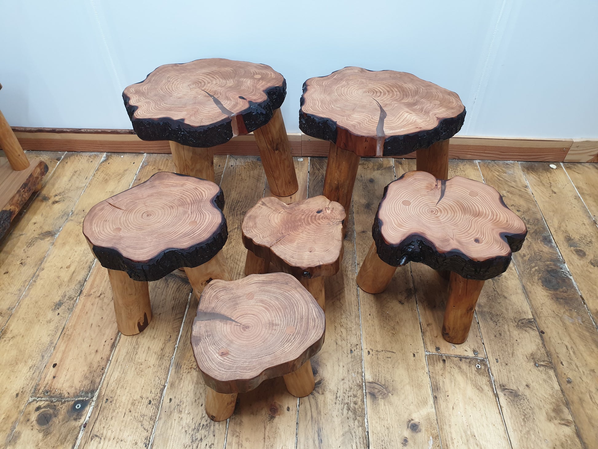6 stools of various sizes and shapes with great grain definition. They all have 3 round, peeled, barkless legs. Some have clear resin filled cracks on the tops. 2 have all the dark brown  bark intact, 2 partially intact and 2 with none at all.