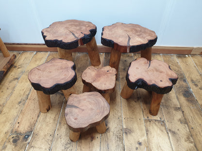 6 stools of various sizes and shapes with great grain definition. They all have 3 round, peeled, barkless legs. Some have clear resin filled cracks on the tops. 2 have all the dark brown  bark intact, 2 partially intact and 2 with none at all.