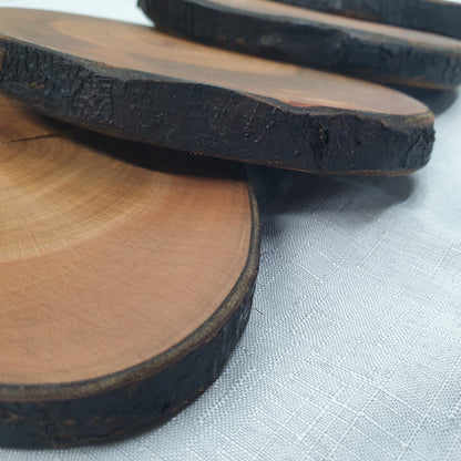 Wild Cherry Log Slices/Wooden Coasters
