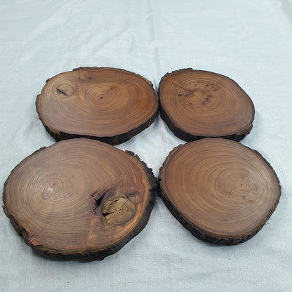 Live Edge Elm Place-mat/Table Centrepiece/Plant Stand