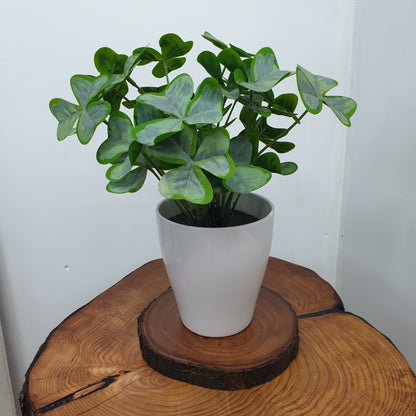 Live Edge Elm Place-mat/Table Centrepiece/Plant Stand