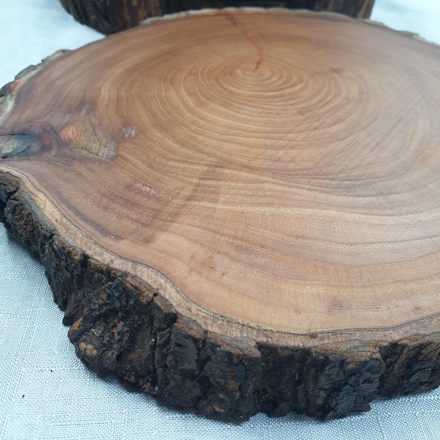 Live Edge Elm Place-mat/Table Centrepiece/Plant Stand
