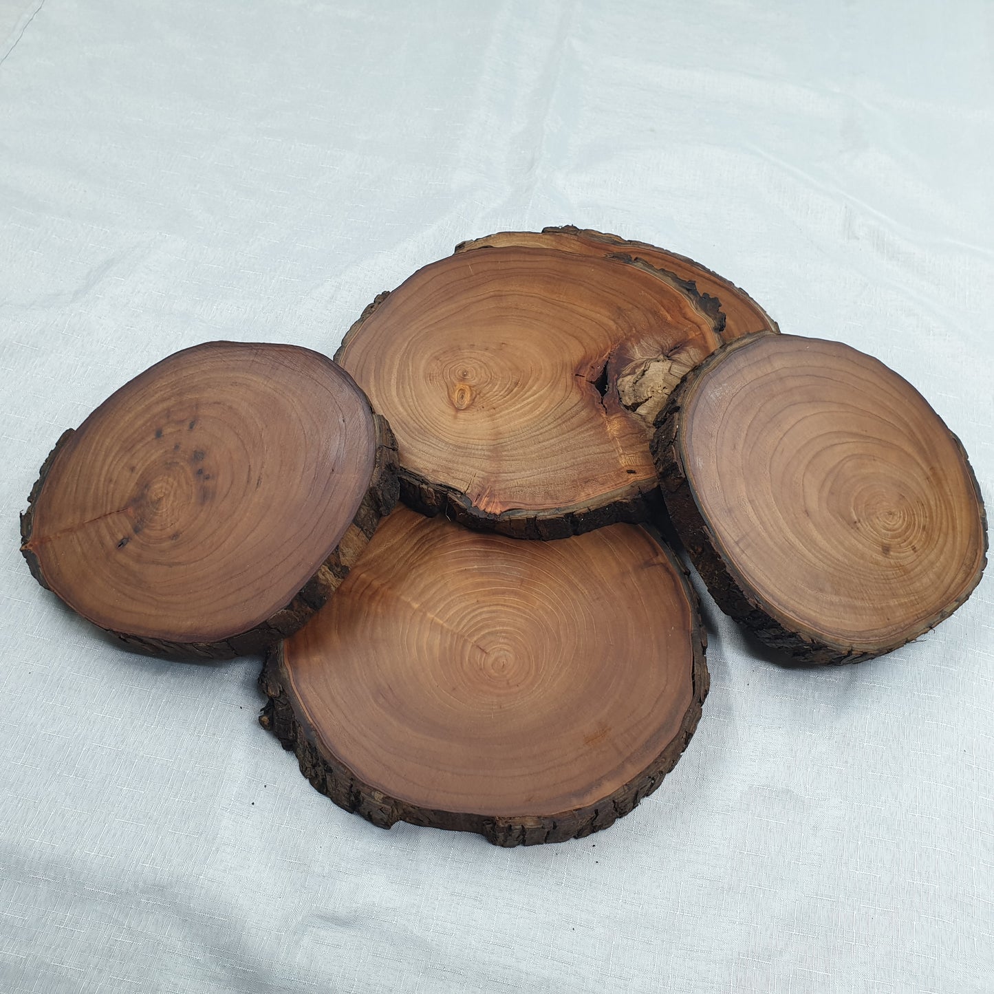 Live Edge Elm Place-mat/Table Centrepiece/Plant Stand