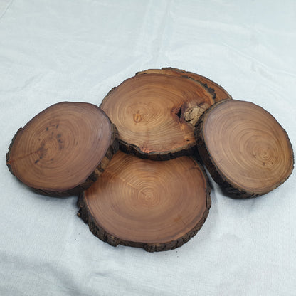 Live Edge Elm Place-mat/Table Centrepiece/Plant Stand