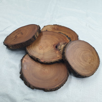 Live Edge Elm Place-mat/Table Centrepiece/Plant Stand