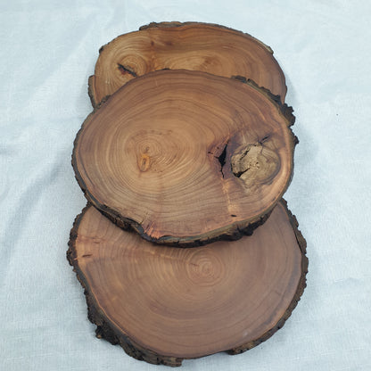 Live Edge Elm Place-mat/Table Centrepiece/Plant Stand