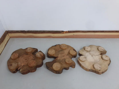 These three table centerpieces aren't dead; they're just sleeping. Yes, they sleep upside down. No, that isn't unusual.

At least you can get a good look at their feet.